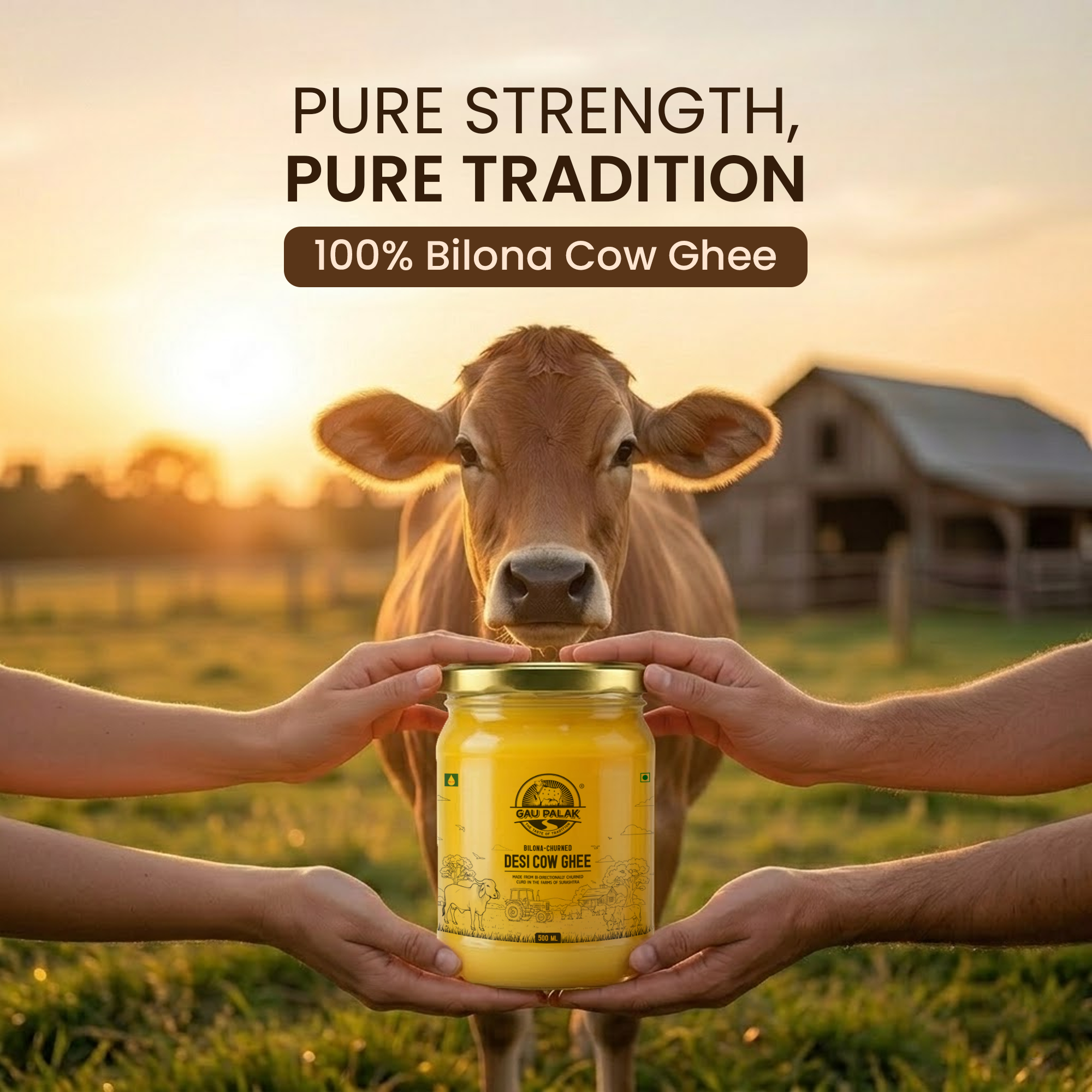 Cow & Buffalo 500ML