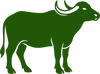 BUFFALO